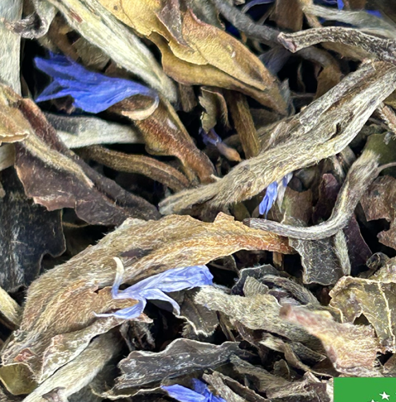 brume luxuriante certifie bio