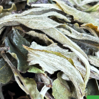 pai mu tan premium certifie bio